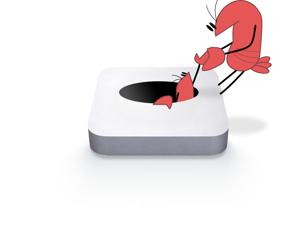 WorkClaw on Mac Mini